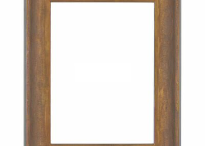 Frame 7 | Picture Frame 250-061BronzeGold with Gray