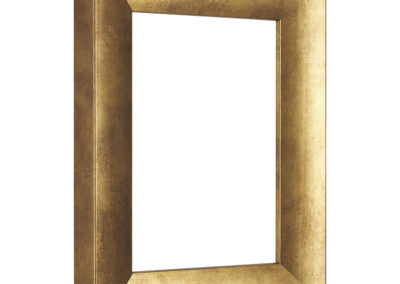 Frame 6 | Picture Frame 550-052 industrial goldoblique profile side view